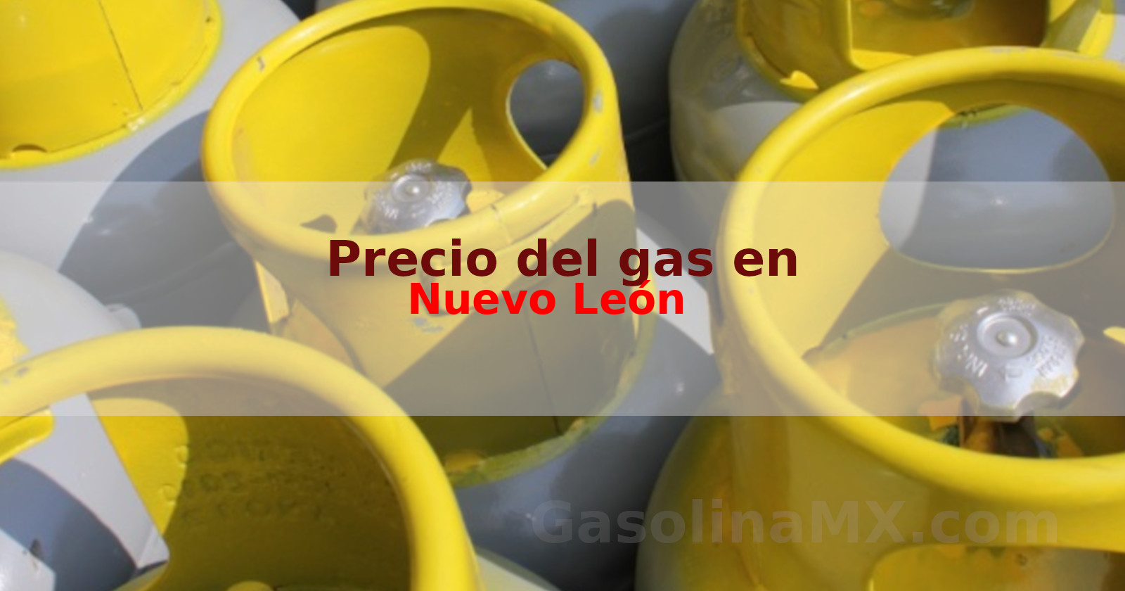 Precio gas en Nuevo León hoy