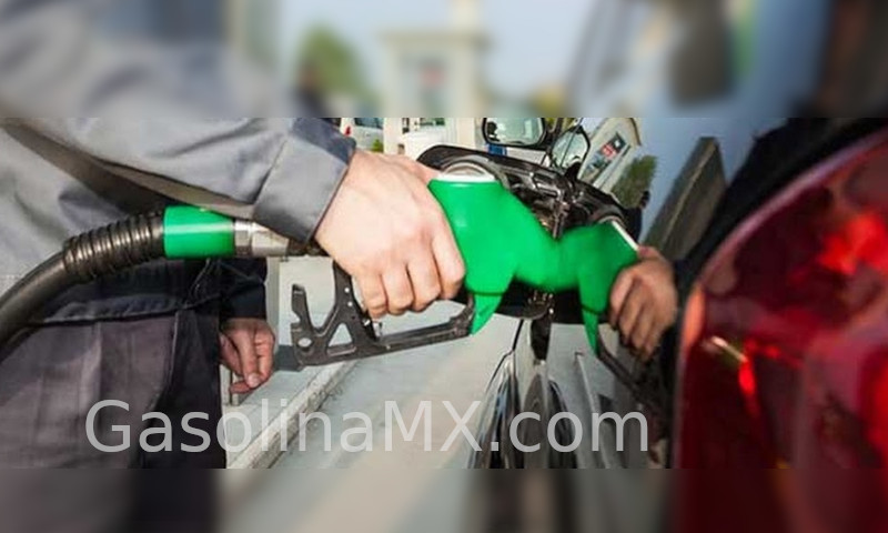 por que bajo gasolina precio