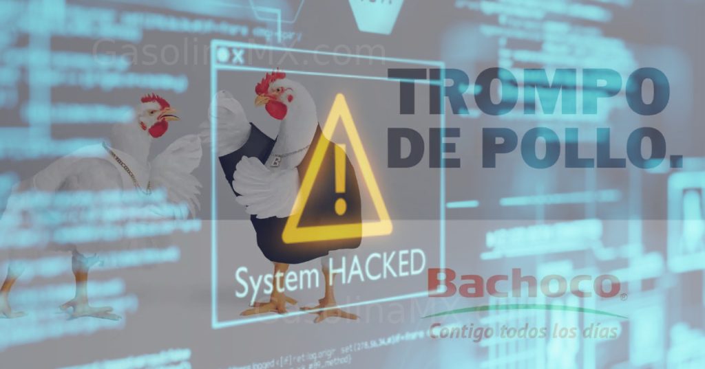 bachoco hackers sistemas sap noticias hackean